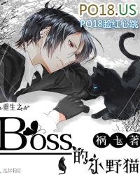 重生之boss的小野猫封面